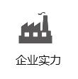 企业实力